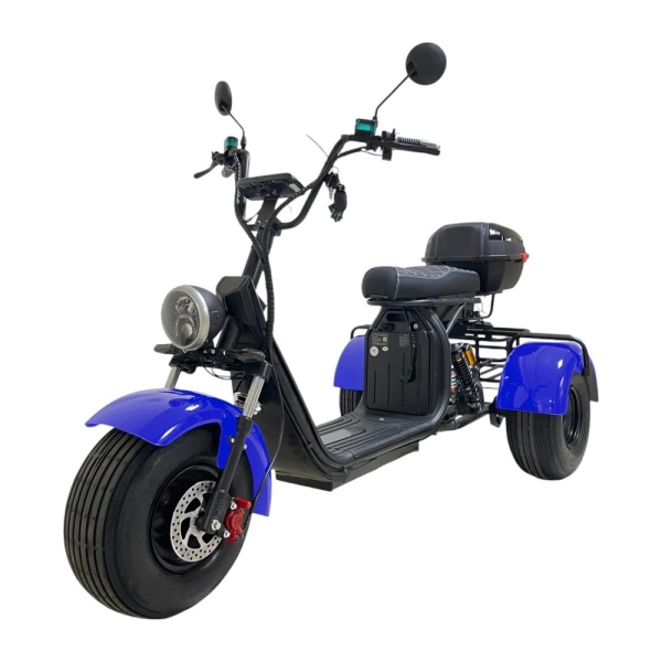 citycoco-x12-trike-blue-10-09-2024-gmdv(1)-1000x1000