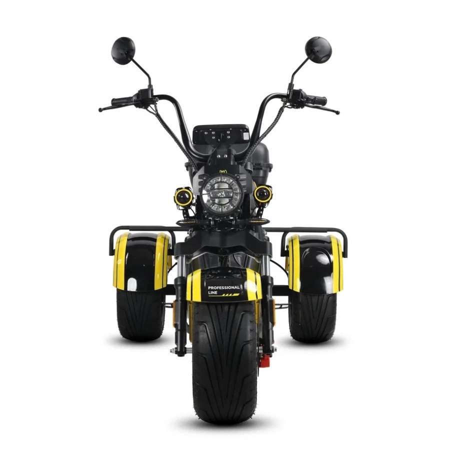 PRO TRIKE MAX 6